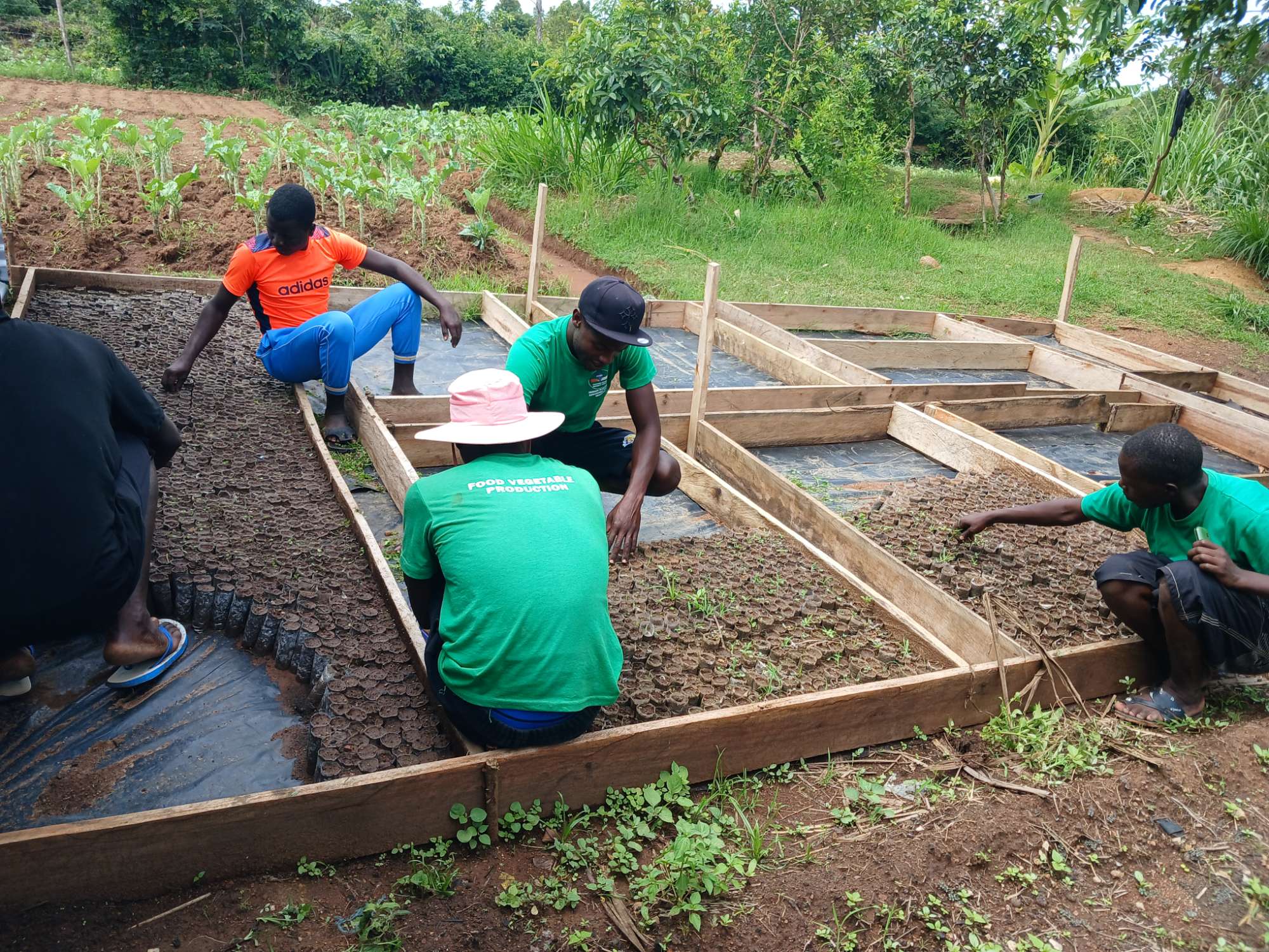 Community farming project