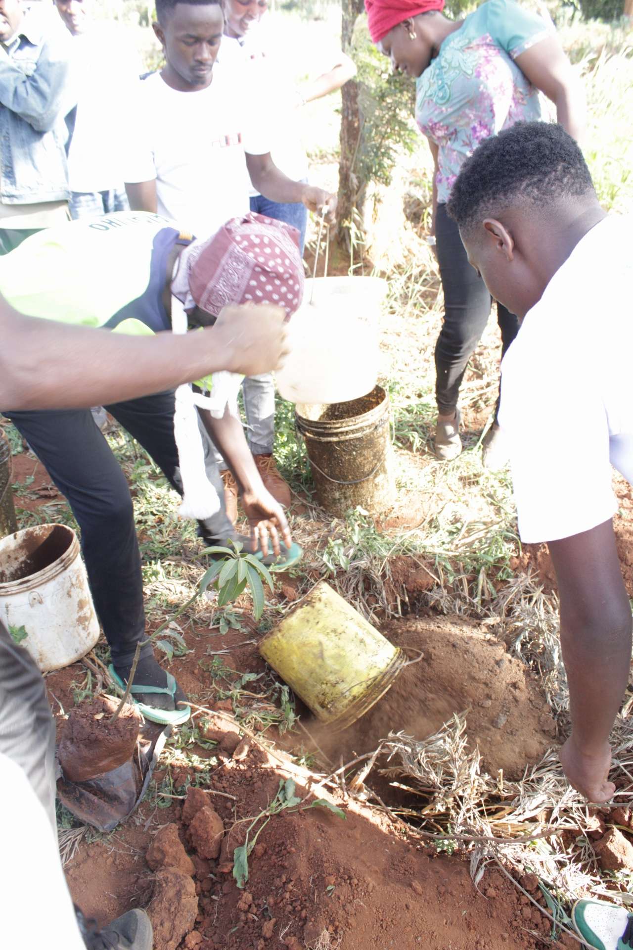 Community Environmental Impact