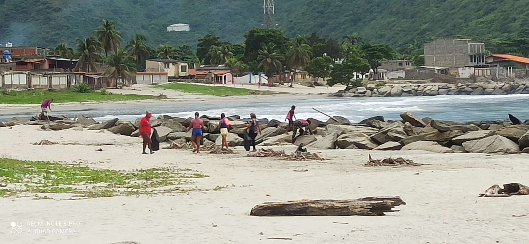 Beach Cleaning Team