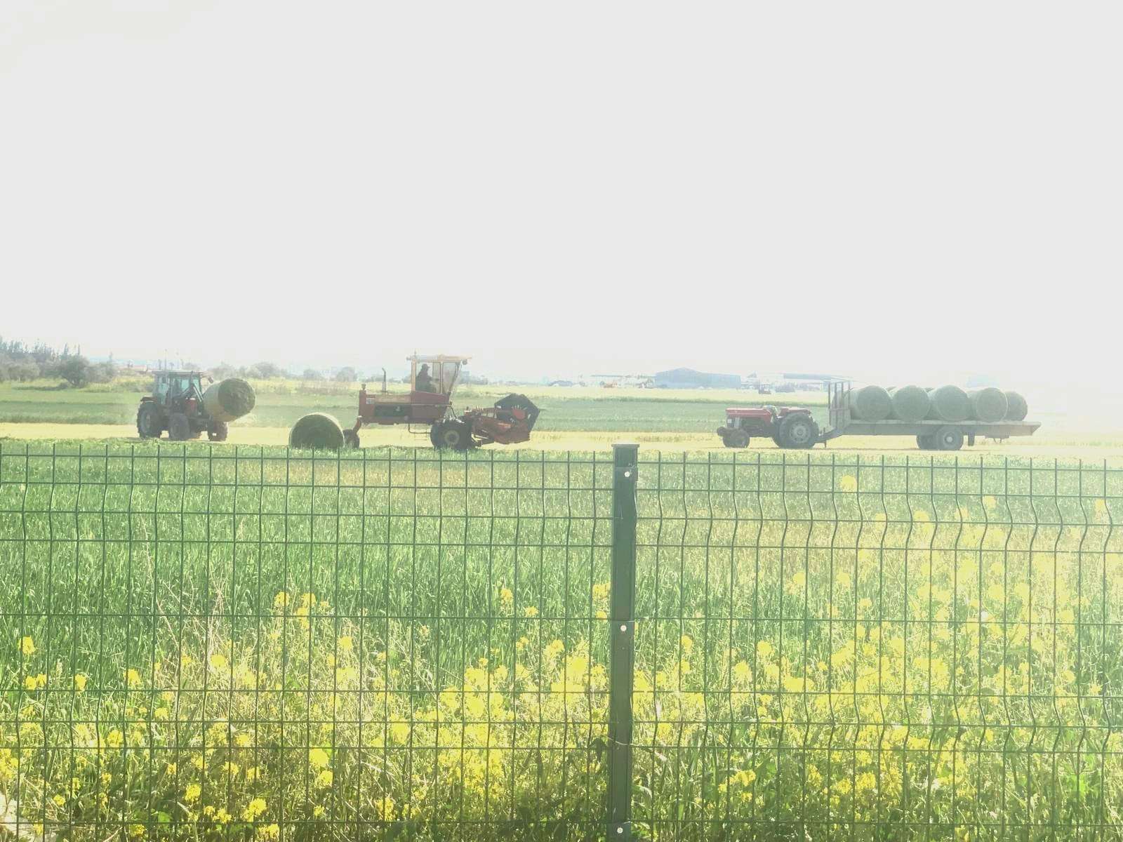 Farm machinery in field with yellow flowers