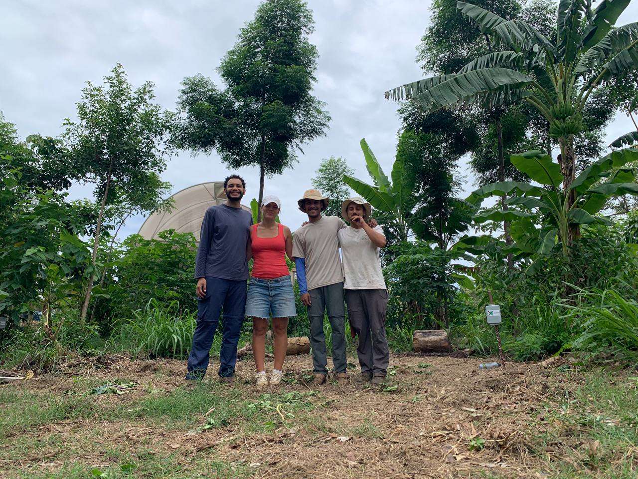 Community members working together in an agroforestry site